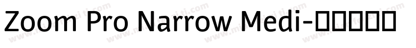 Zoom Pro Narrow Medi字体转换